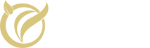 91视频网物業